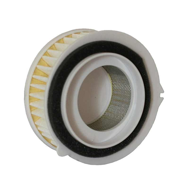 Filtro Aria Champion CAF3607 Filtri Aria Champion