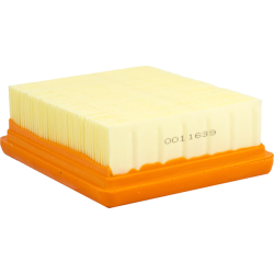 Champion Filtre à air CAF5302 Filtres à air Champion