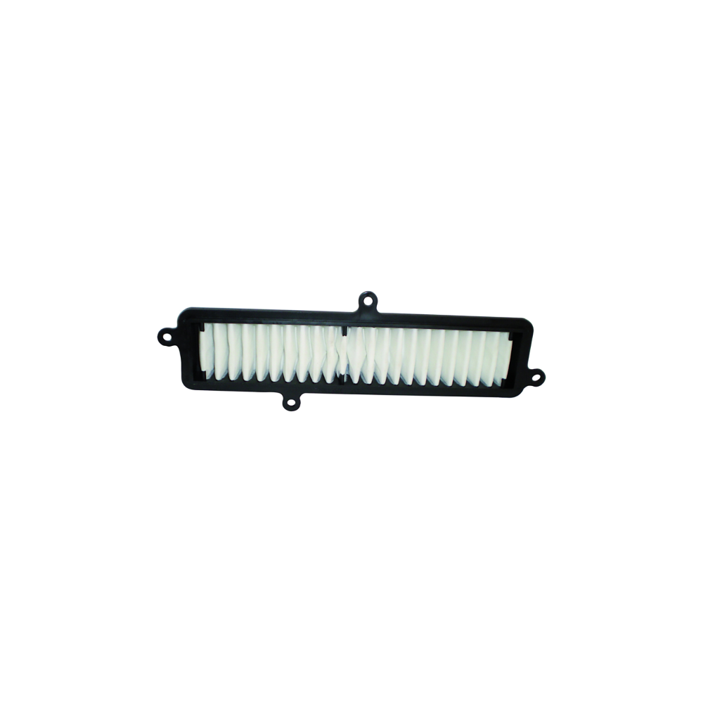 Filtro Aria Champion CAF2103