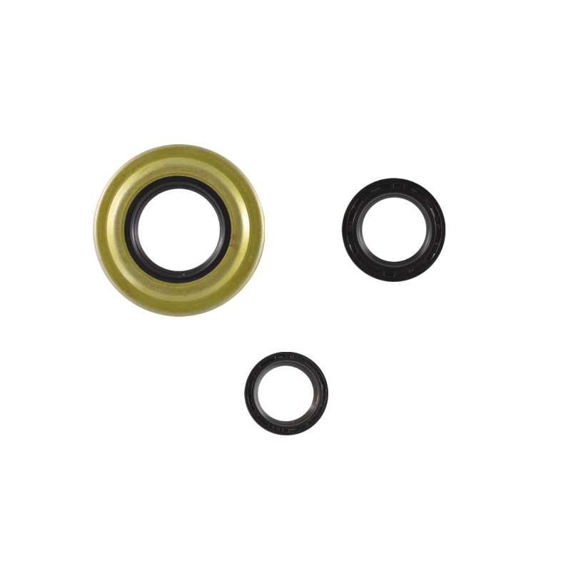 Serie paraoli motore RMS Classic Piaggio Vespa Px arcobaleno Paraoli Rms Classic