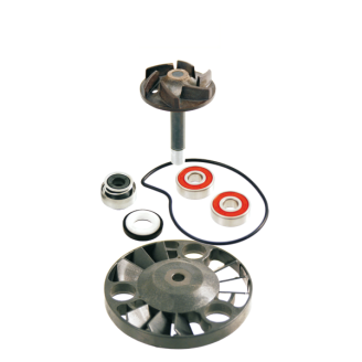 Kit Revisione Pompa Acqua Piaggio Beverly 125-200cc/Hexagon Gtx 125-180cc