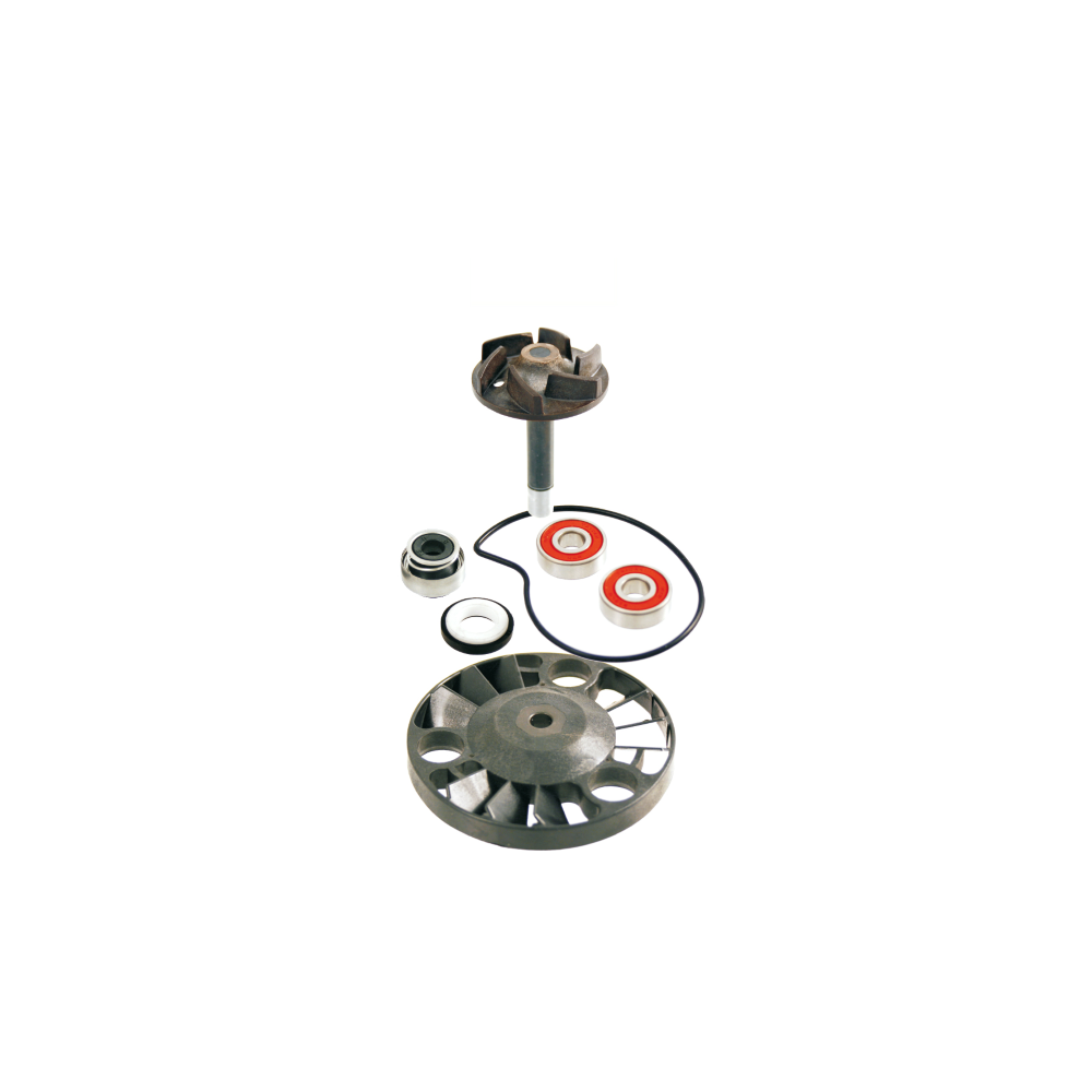 Kit Revisione Pompa Acqua Piaggio Beverly 125-200cc/Hexagon Gtx 125-180cc