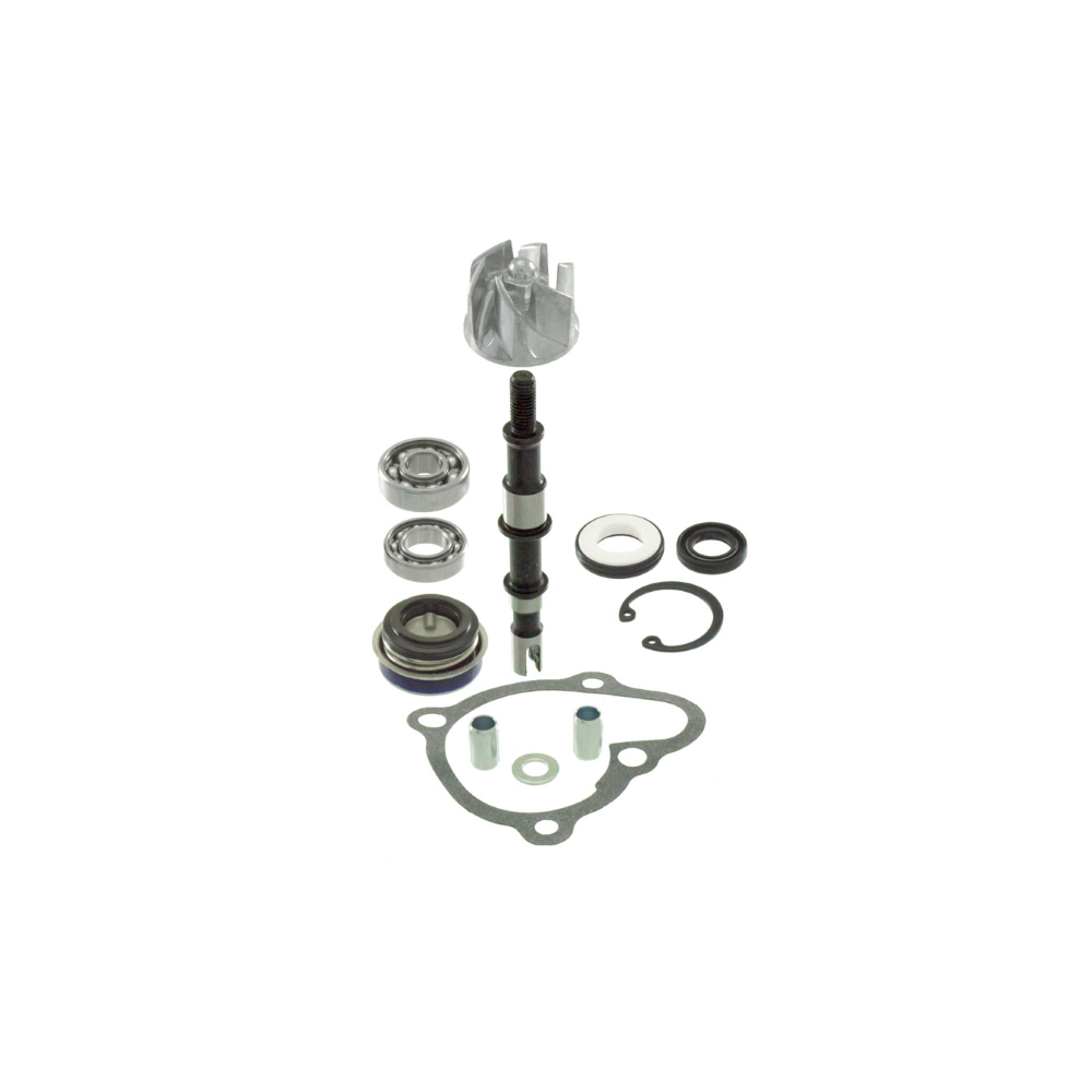 Kit Revisione Pompa Acqua Kymco X-Citing 250-300cc