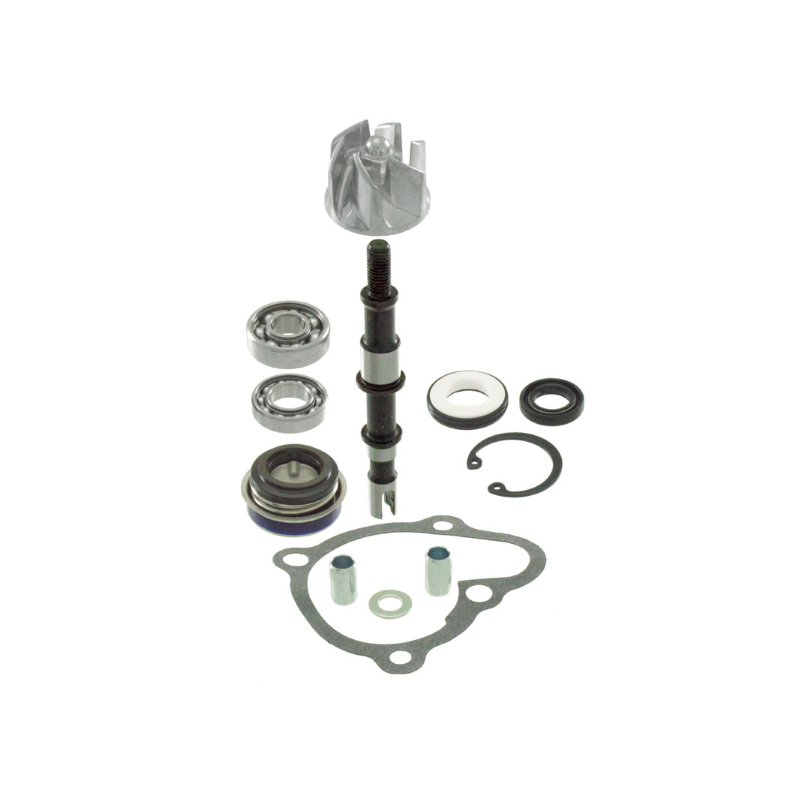Kit revisione pompa acqua RMS Kymco X-citing 250-300cc Wasserpumpen-Überholungssatz RMS