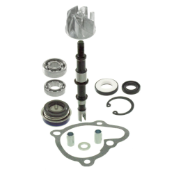 Kit revisione pompa acqua RMS Kymco X-citing 250-300cc Wasserpumpen-Überholungssatz RMS