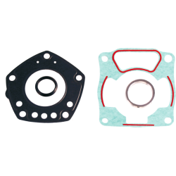 Serie Guarnizioni Smeriglio Honda Pantheon 125cc 1998/2002 Guarnizioni RMS