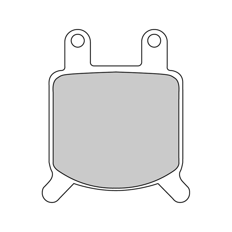 Pastiglie Freno Ferodo Platinum Road FDB205P Pastiglie Freno Ferodo