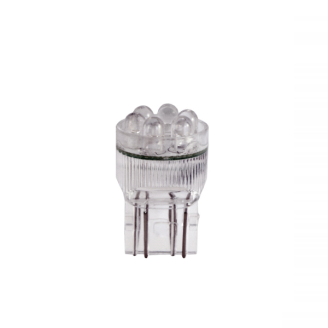 Ampoule RMS 12V T20 - Blanche Ampoules RMS
