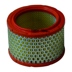 Filtro Aria Champion CAF5102