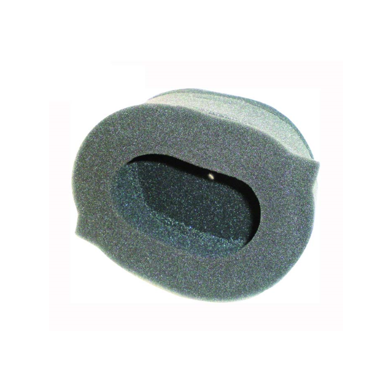 Champion Air Filter Y304 Air Filters Champion