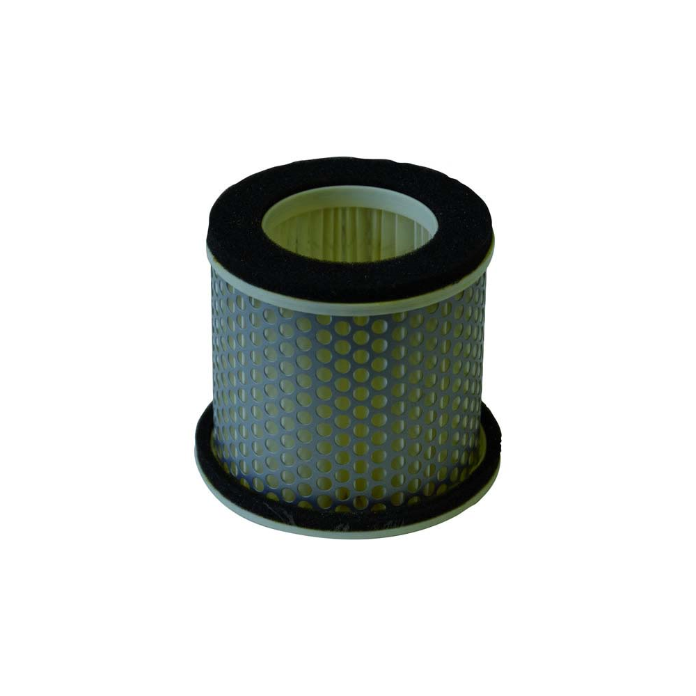 CHAMPION Filtro de aire V303 Filtros de aire Champion