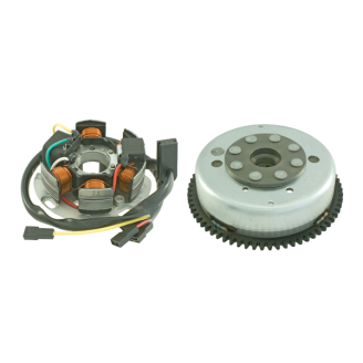 Volano completo RMS Derbi Gpr 2t 50cc 2009/2010 RMS