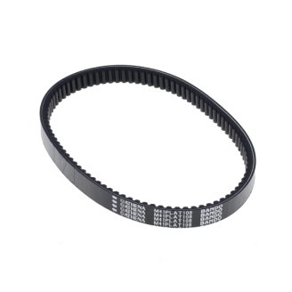 Cinghia Bando-Athena S41PLAT008