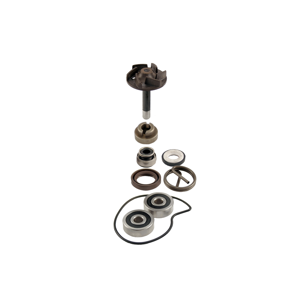 Kit Revisione Pompa Acqua Piaggio Beverly 250cc 2004/2005