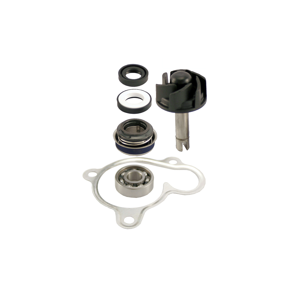 Kit Revisione Pompa Acqua Yamaha Majesty 250cc 2000/2003