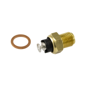Termistore Ducati 888/748
