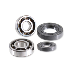 RMS Crankshaft revision kit Derbi 50cc Crankshaft Overhaul Kit RMS