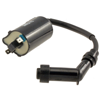 Ignition Coils | 