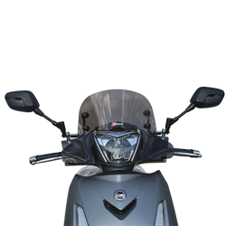 Cupolino Faco Sym Hd 300 2019/2022 29065