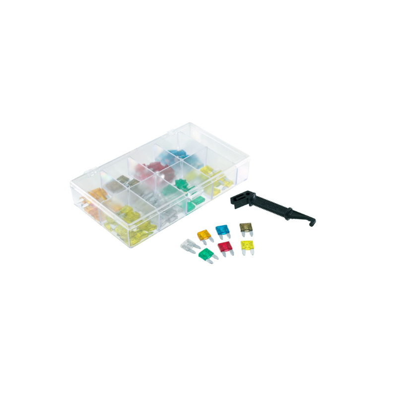 Kit RMS 100 mini fusibles Fusibles RMS