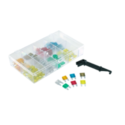 RMS Kit 100 mini fuses Fuses RMS