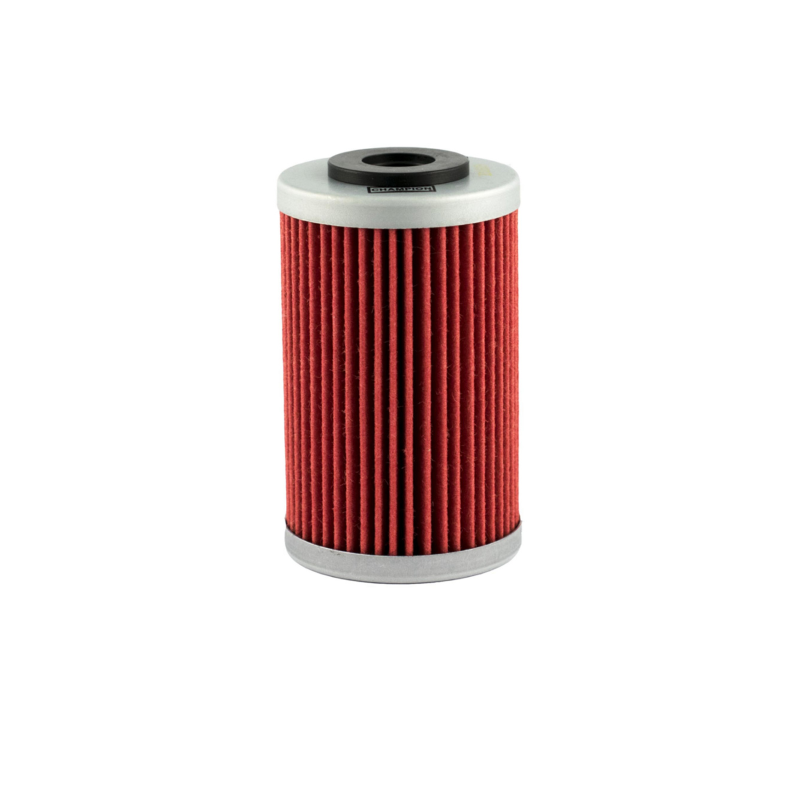 Filtro olio Champion COF055 Ölfilter Champion