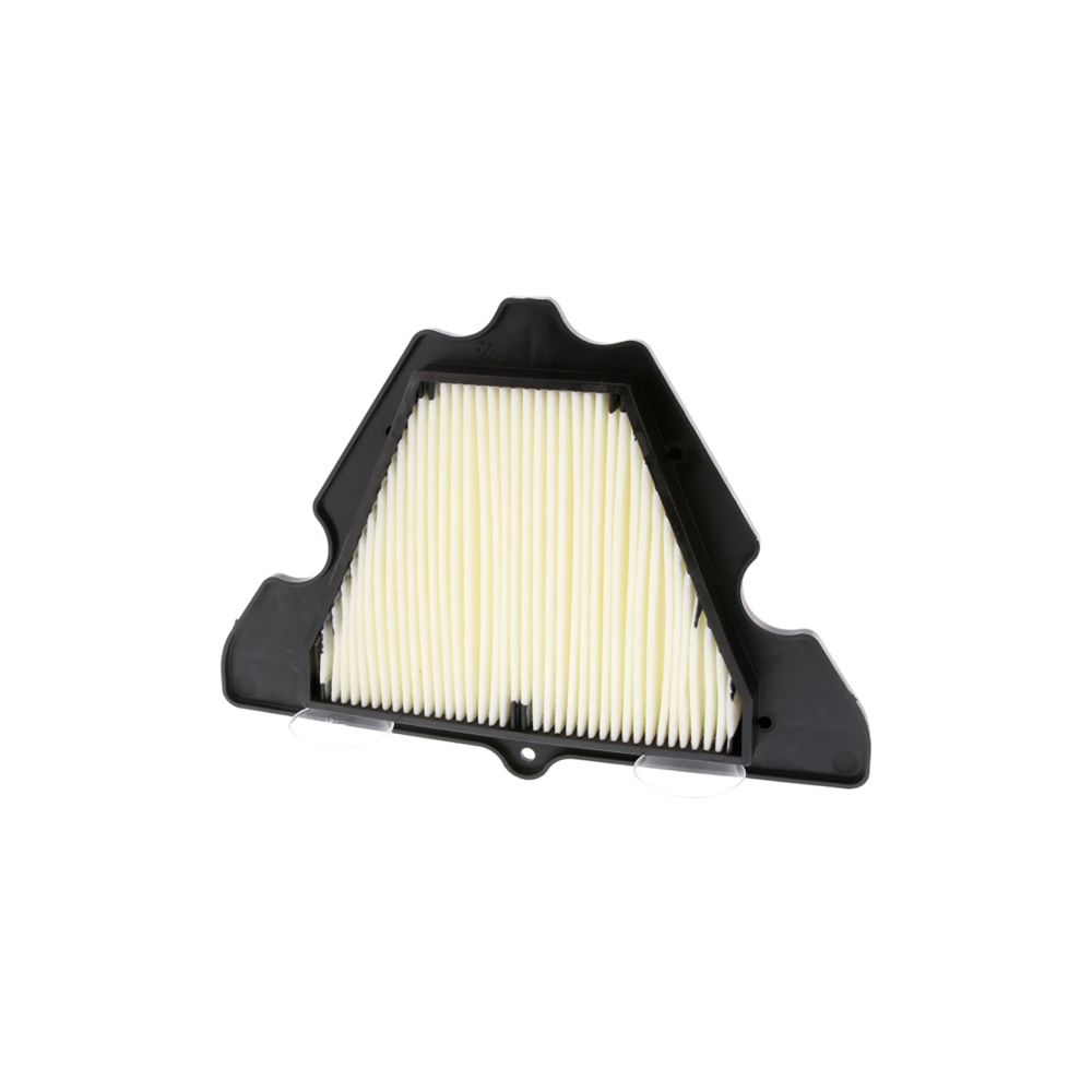 Filtro Aria Champion CAF1920