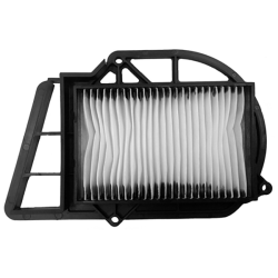 Filtro Aria Champion CAF3203