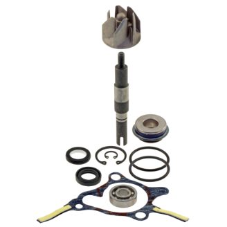 Rebuild Kits (Overhaul Kits) | 