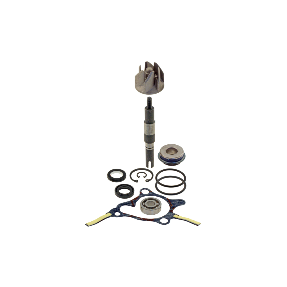 Kit Revisione Pompa Acqua Honda Foresight 250cc 1998