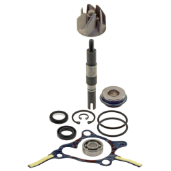 Kit Revisione Pompa Acqua Honda Foresight 250cc 1998