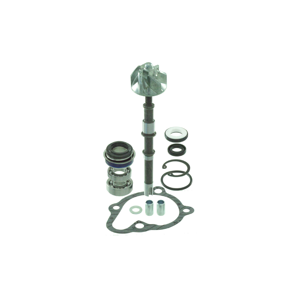 Kit Revisione Pompa Acqua Kymco Dink 125-150cc