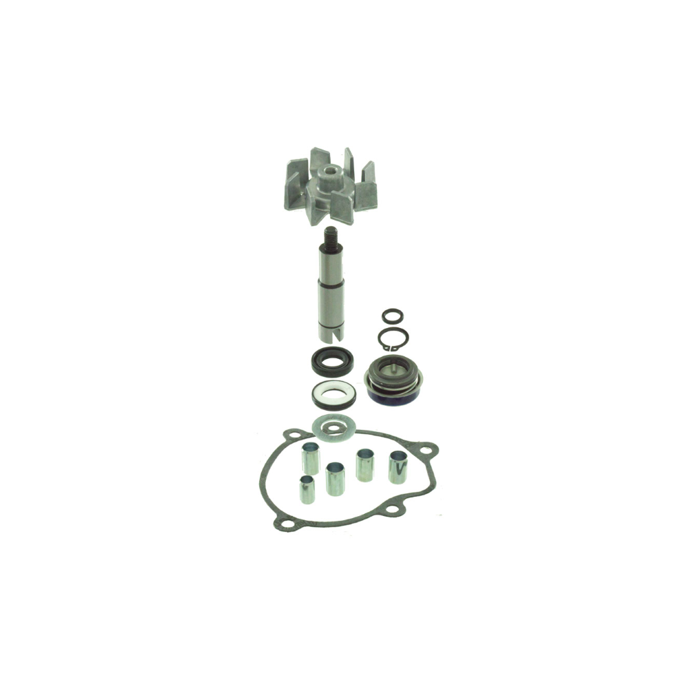 Kit Revisione Pompa Acqua Kymco Myroad 700cc