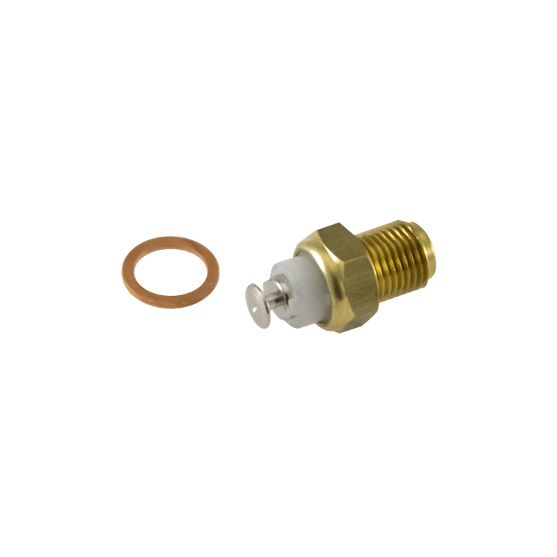 RMS Thermistor Malaguti F12F15 Sensors and Thermostats RMS