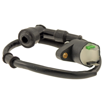 Ignition Coils | 