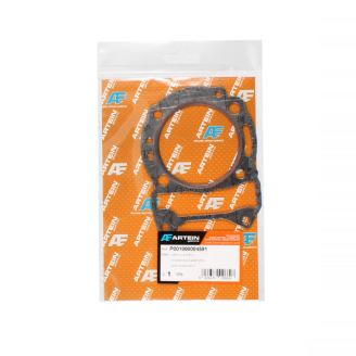 Guarnizione Cilindro Artein Beverly 125cc 2001/2005