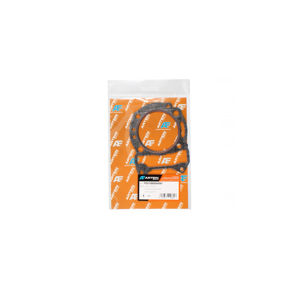 Guarnizione Cilindro Artein Beverly 125cc 2001/2005