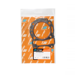 ARTEIN Gasket cylinder Beverly 125cc 20012005 Gaskets Artein
