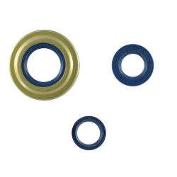 RMS Classic Oil seals engine kit Piaggio Vespa px arcobaleno Oil seals Rms Classic