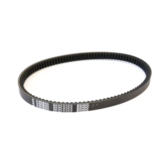 Cinghia Bando-Athena S41PLAT079 Kymco People 250-300CC 2003/2008