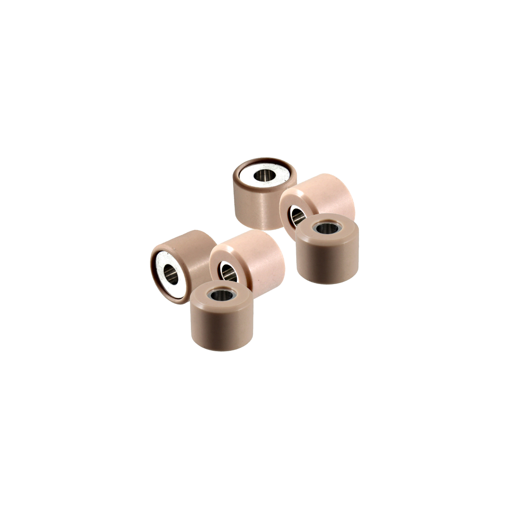 Kit Rulli Puleggia 21x17mm 10,7gr