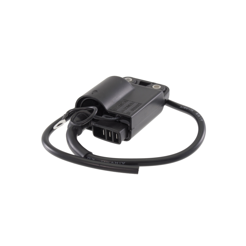 RMS Electronic unit Piaggio ZipSferaVespa Et2Gilera Stalker 50cc Control units and accessories RMS