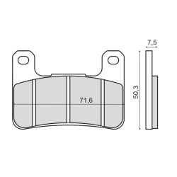 Pastiglie Freno Organiche Kawasaki Z1000 Abs