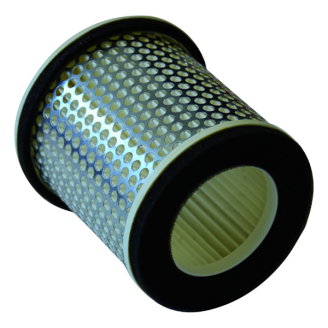 Filtro Aria Champion CAF3603