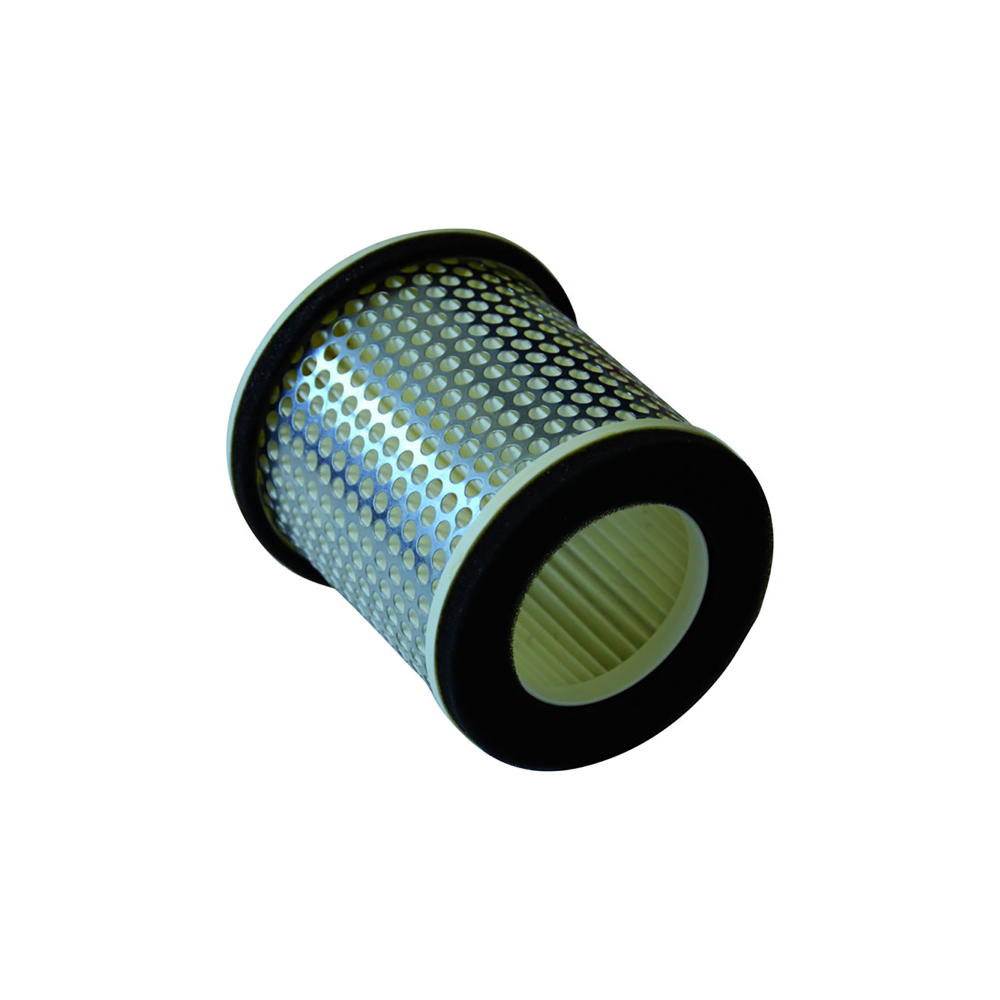 Filtro Aria Champion CAF3603