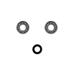 Kit Revisione Albero Motore Classic Piaggio 50cc Alberi Motore Rms Classic