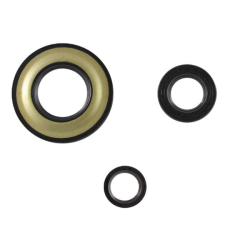 Motor-Dichtungsserie Classic Piaggio Vespa Px 125-150-200cc Arcobaleno Schmutzschutzmanschetten Rms Classic