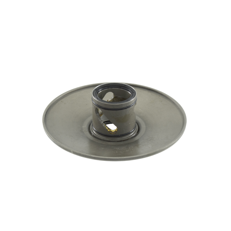 Semipuleggia condotta mobile RMS Kymco People 125cc Riemenscheiben RMS