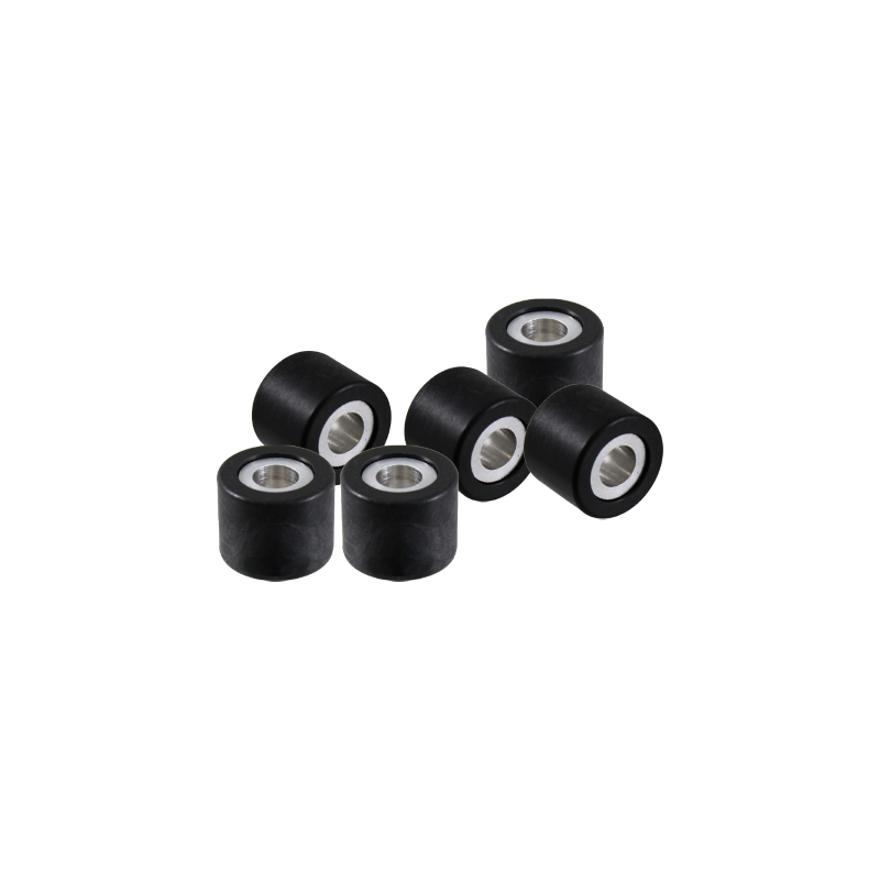 Kit rulli puleggia RMS 19x15,5mm 6,5gr Rollen RMS