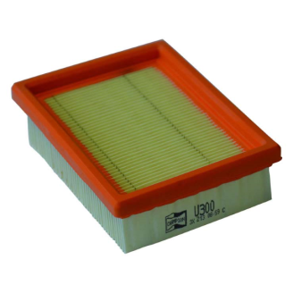 Filtro Aria Champion U300